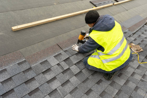 Best Local Roofing Companies  in Petersburg, MI