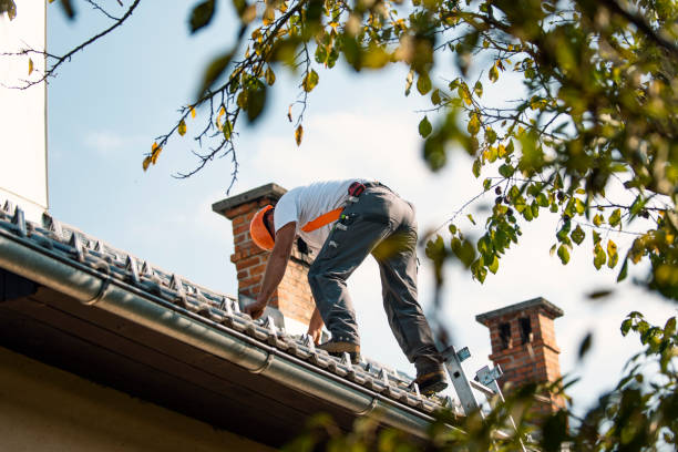 Best Metal Roofing Contractor  in Petersburg, MI