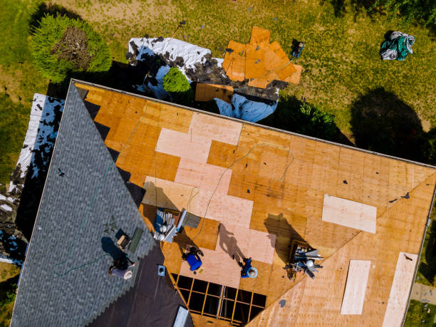Sealant for Roof in Petersburg, MI