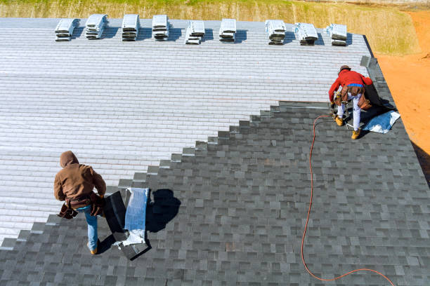 Best Roof Waterproofing Services  in Petersburg, MI