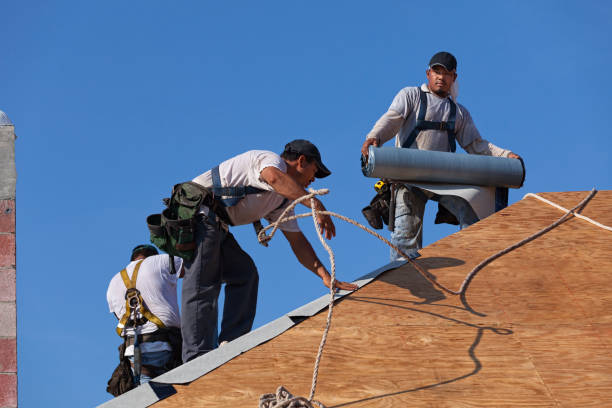 Best Commercial Roof Installation  in Petersburg, MI
