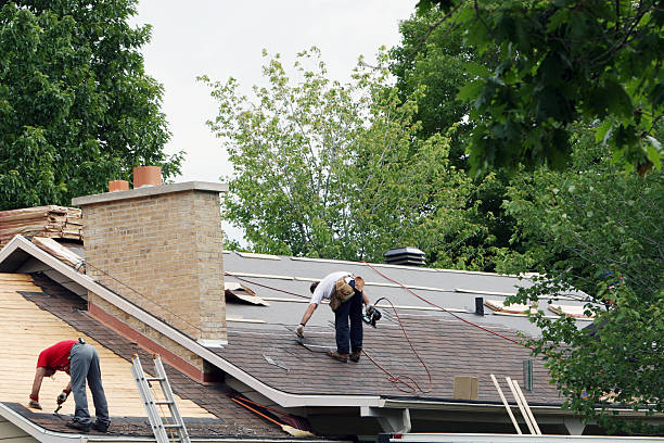 Best Shingle Roofing Installation  in Petersburg, MI