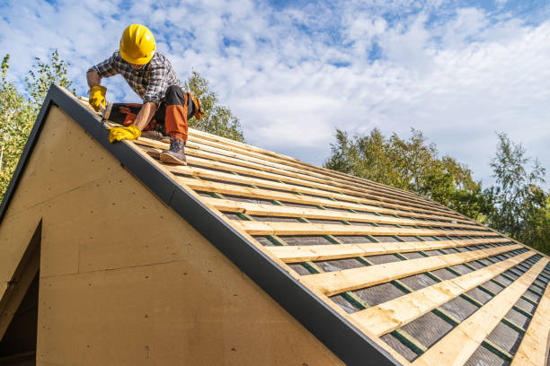 Best Roof Leak Repair  in Petersburg, MI
