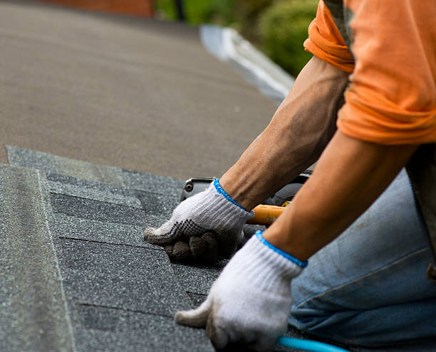 Best Roof Gutter Cleaning  in Petersburg, MI