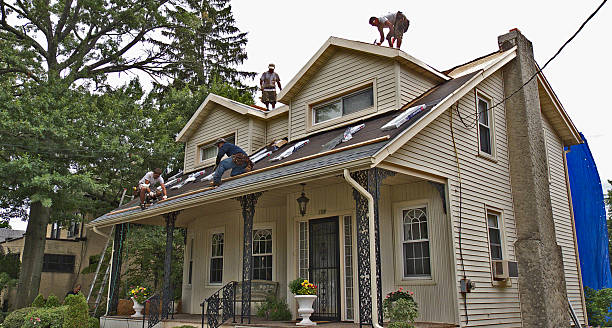 Best Affordable Roofing Company  in Petersburg, MI