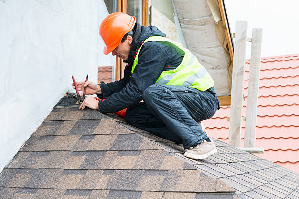 Best Roof Leak Repair  in Petersburg, MI