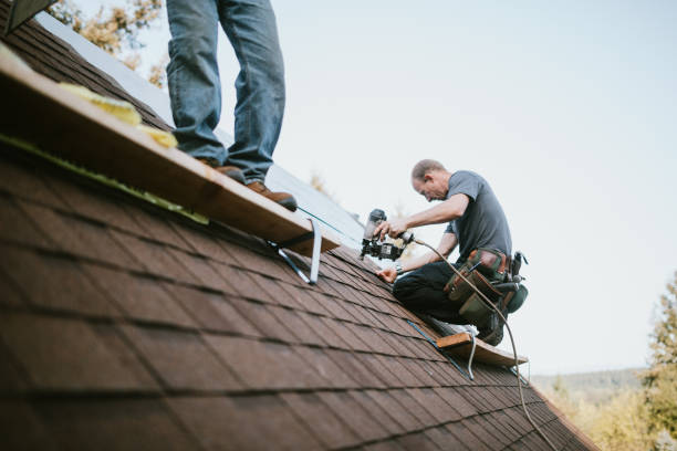 Quick and Trustworthy Emergency Roof Repair Services in Petersburg, MI