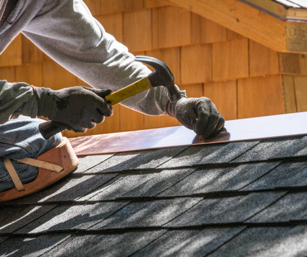Best Roof Maintenance Services  in Petersburg, MI